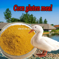 Proteína del grado 65 de la alimentación de las aves de corral de la comida del gluten del maíz, comida caliente del gluten del maíz de la venta con buena calidad